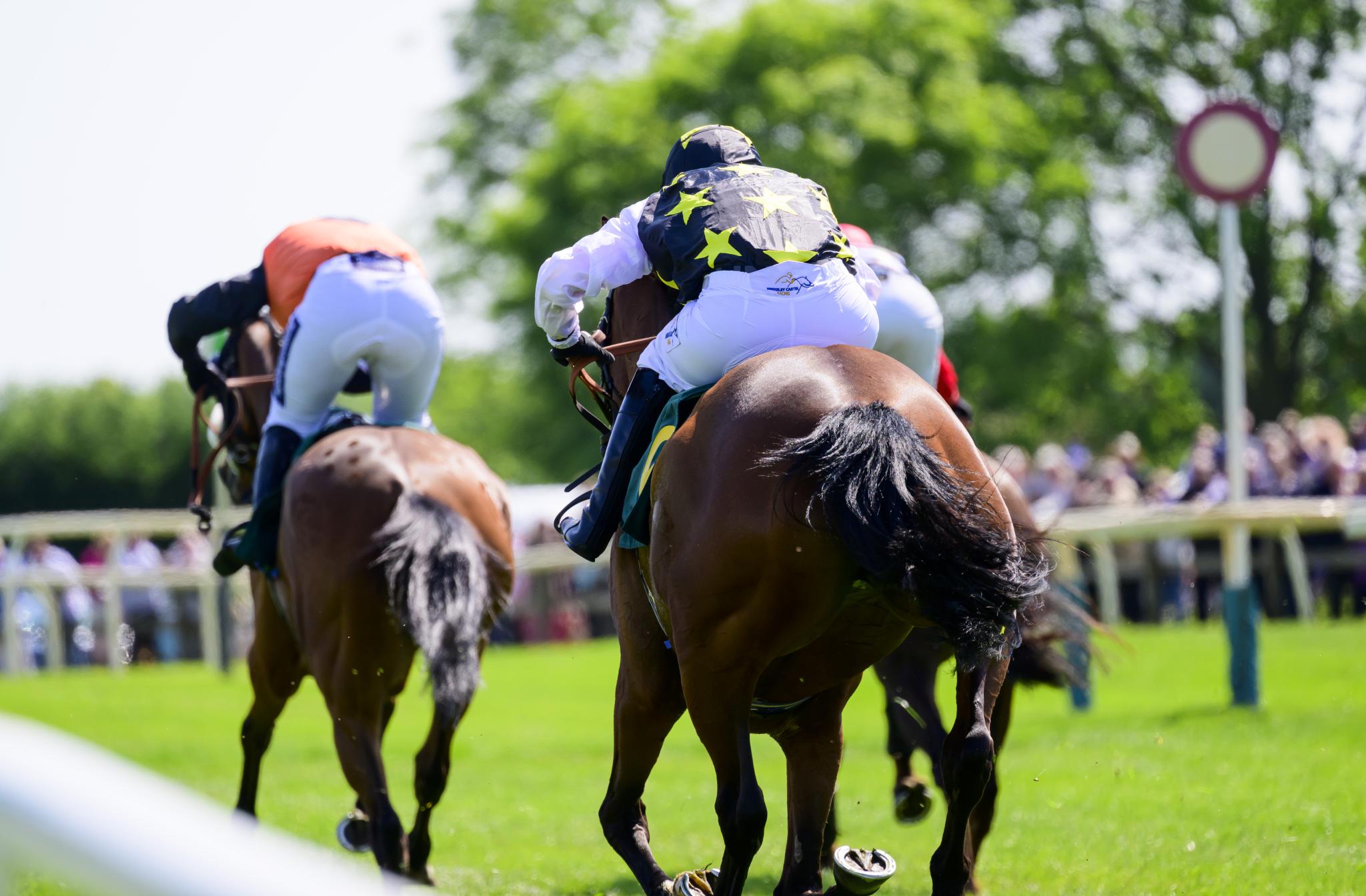 Faulkingham Races Racing fixture list for 2021 - Fakenham Racecourse