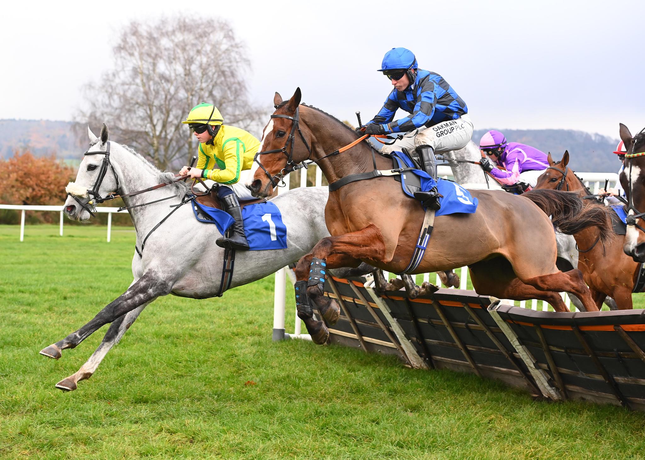 Pre-Christmas Raceday