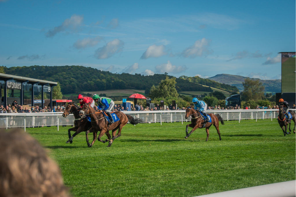 Powell & Co Construction Day