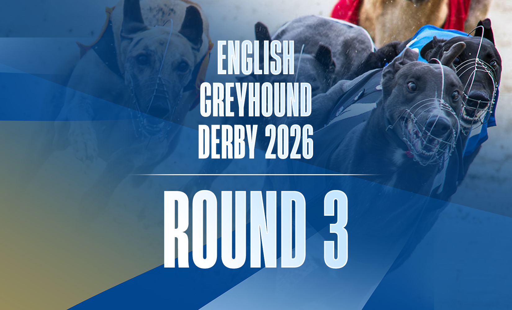 16th May 2026: Star Sports Orchestrate English Greyhound Derby Round 3