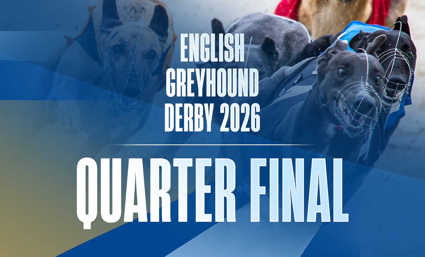 23rd May 2026: Star Sports Orchestrate English Greyhound Derby Quarter Finals