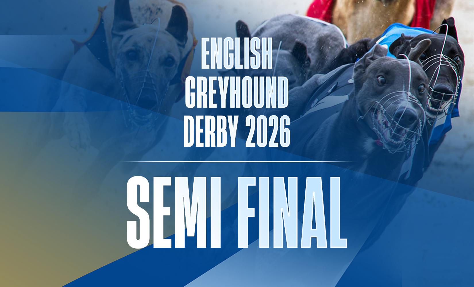 30th May 2026: Star Sports Orchestrate English Greyhound Derby Semi Finals