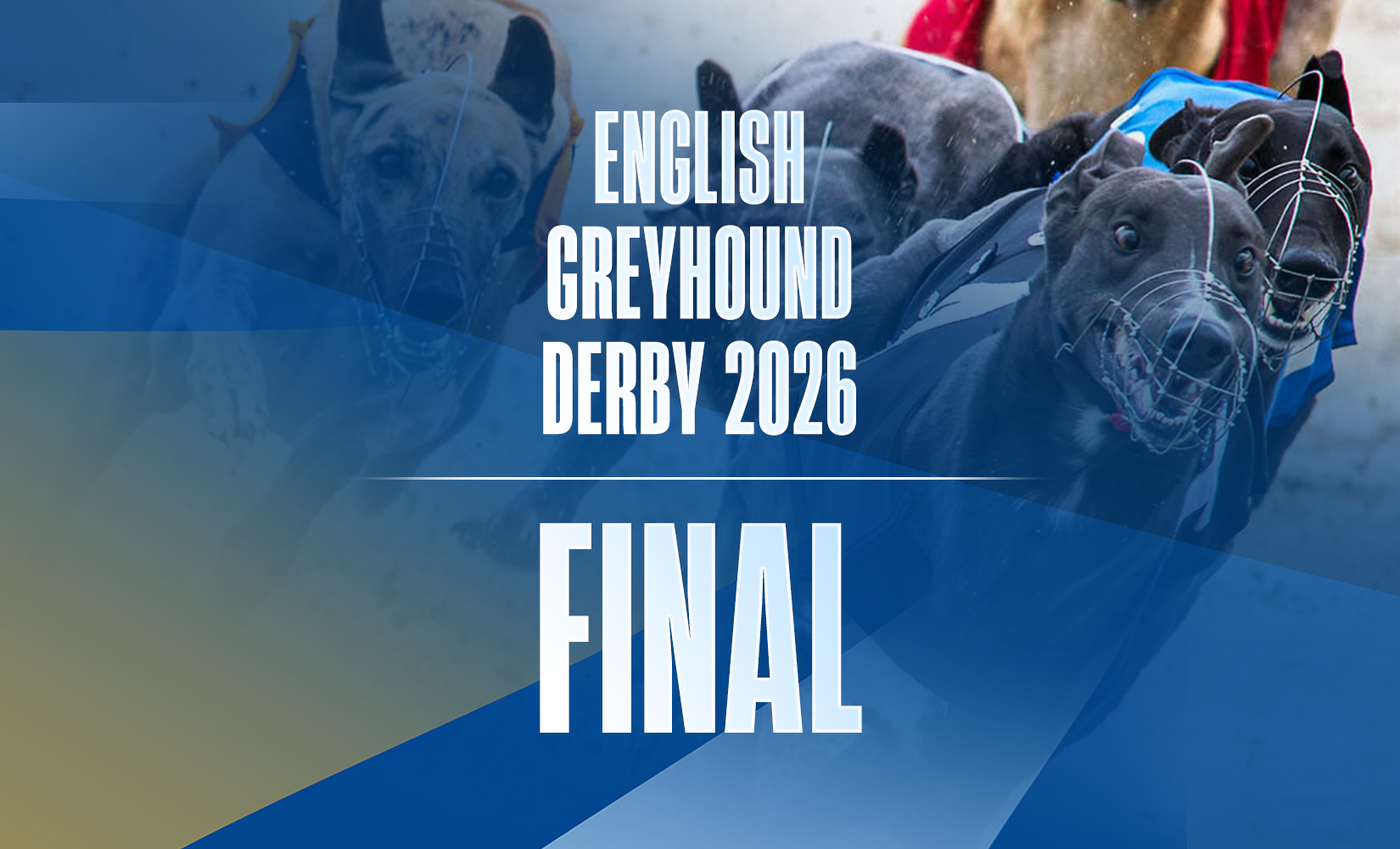 6th June 2026: Star Sports Orchestrate English Greyhound Derby - The Final