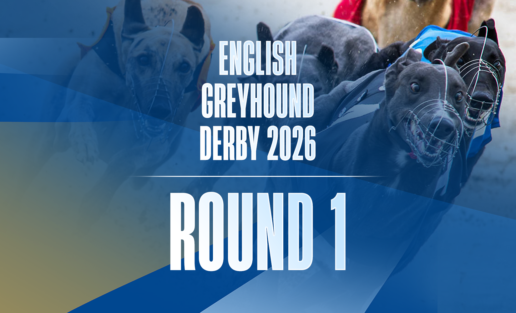 1st May 2026: Star Sports Orchestrate English Greyhound Derby Round 1 Day 1