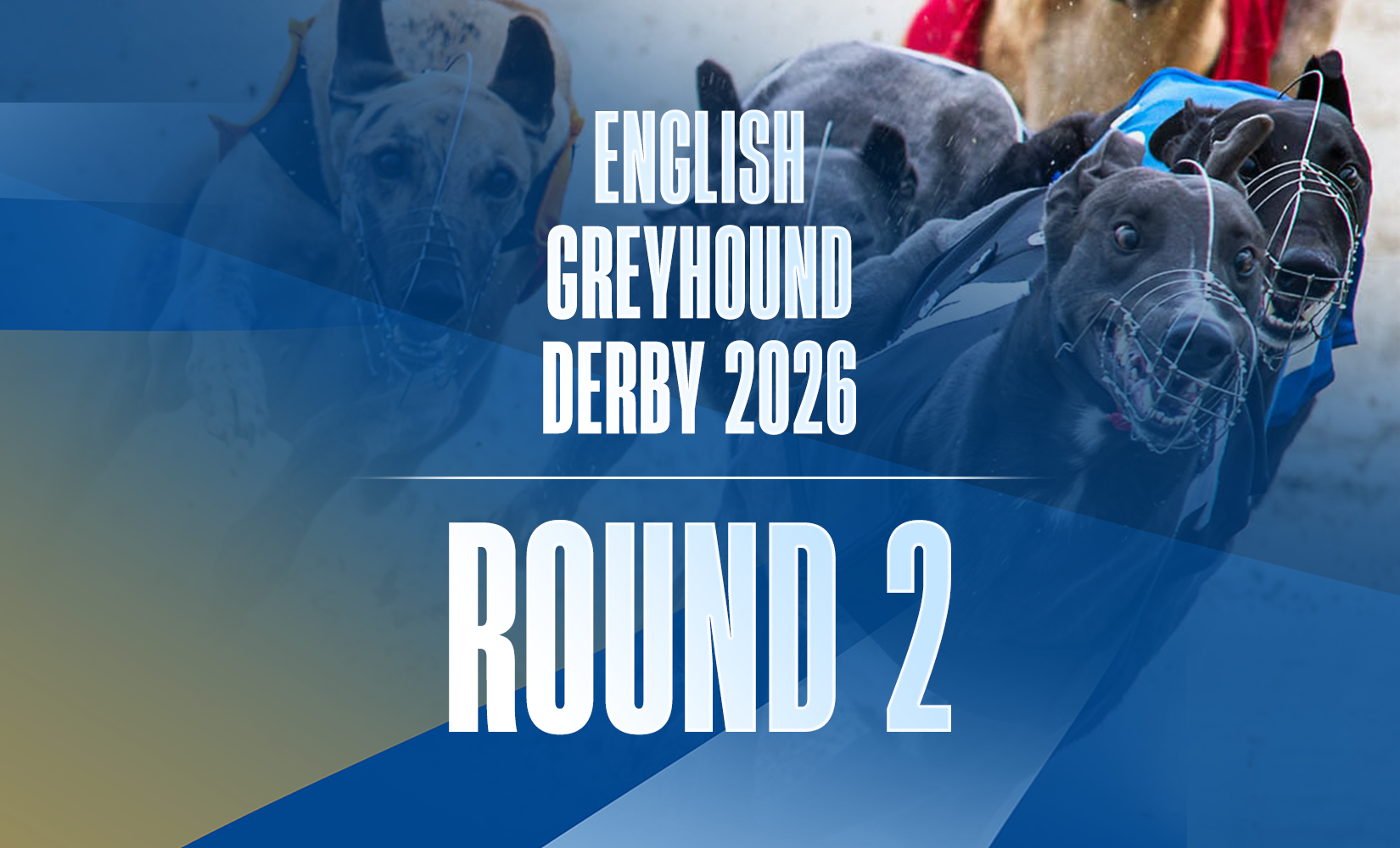 9th May 2026: Star Sports Orchestrate English Greyhound Derby Round 2 Day 2