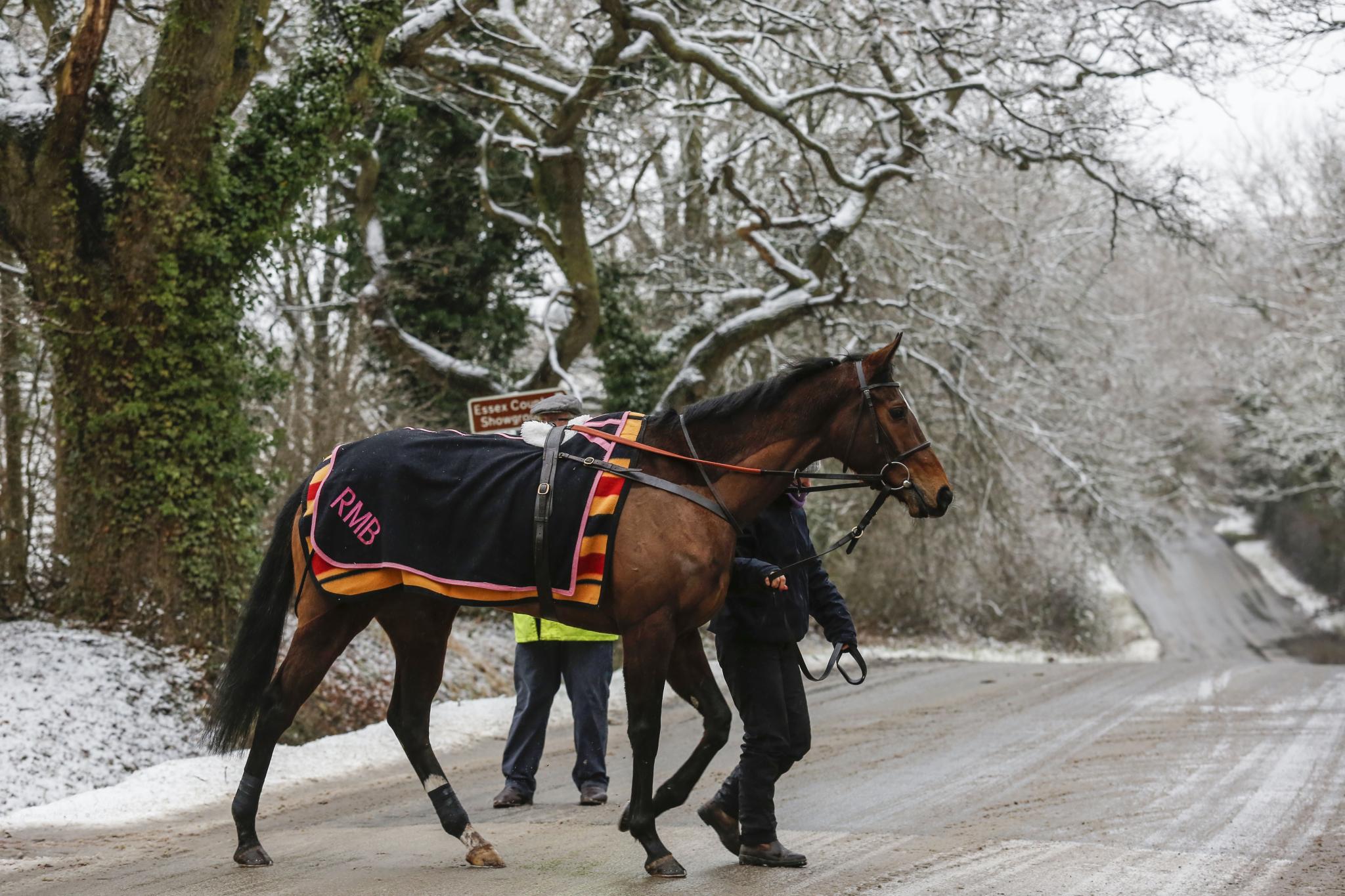 Christmas Raceday