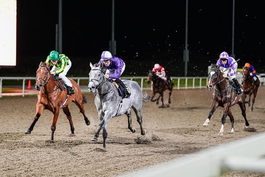 Christmas Raceday