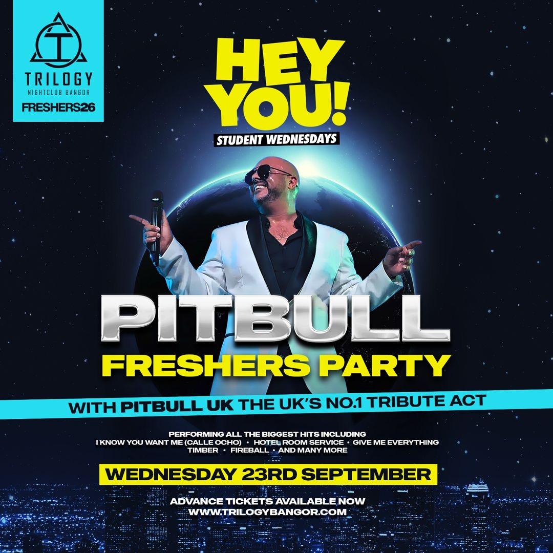 HEY YOU - PITBULL TRIBUTE LIVE ON STAGE